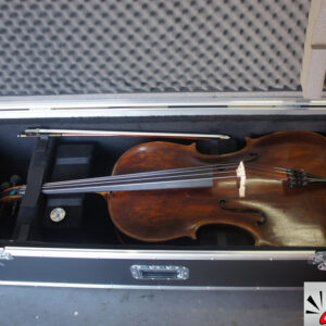 Case violoncelo