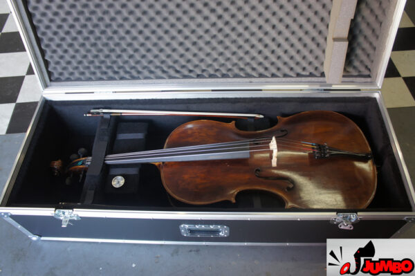 Case violoncelo